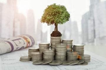 Investments-Management